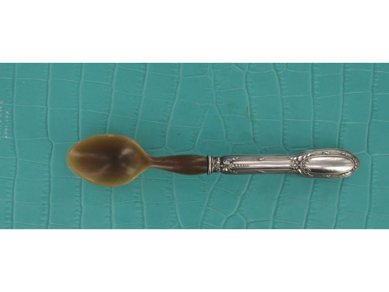 Visverwante artikelen - een kaviaar lepel (6 cm) in bijpassend etui